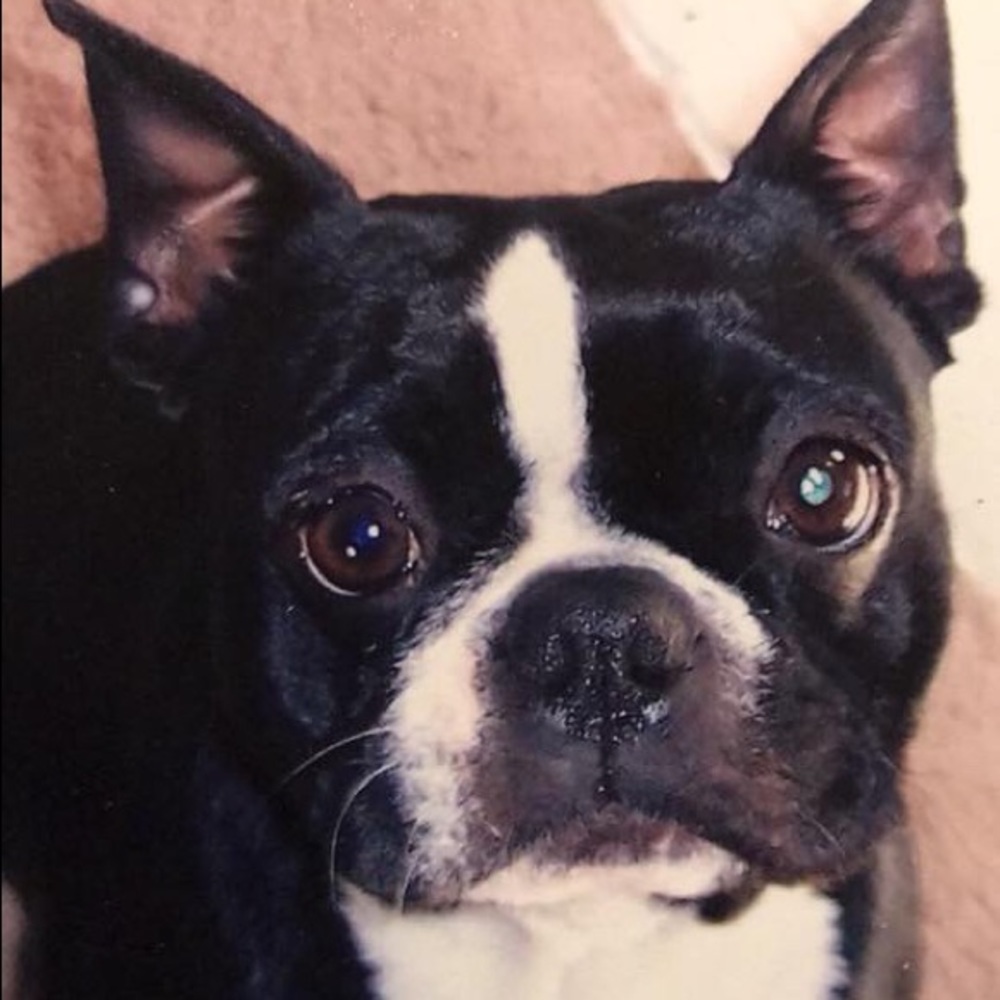 Meet your Posher, Kandis